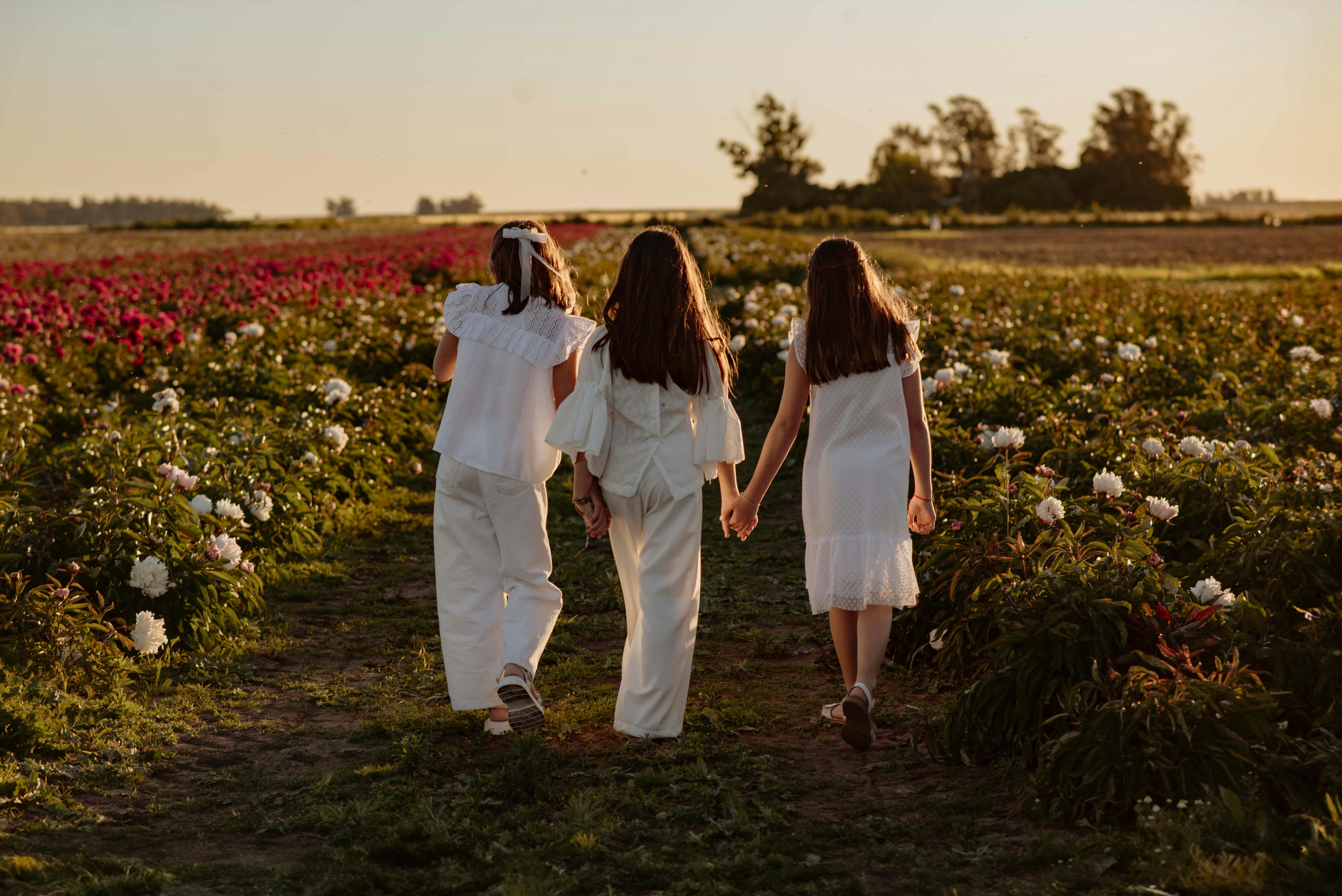 mini传媒工作室内容拍摄封面